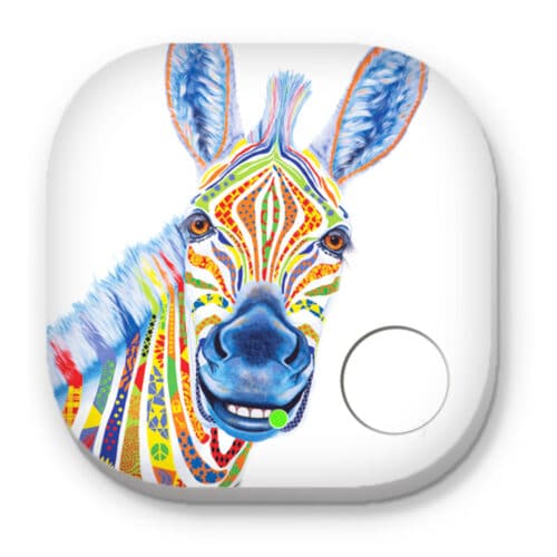 Zeus the Zebra - Phone and Key Finders - Image 1
