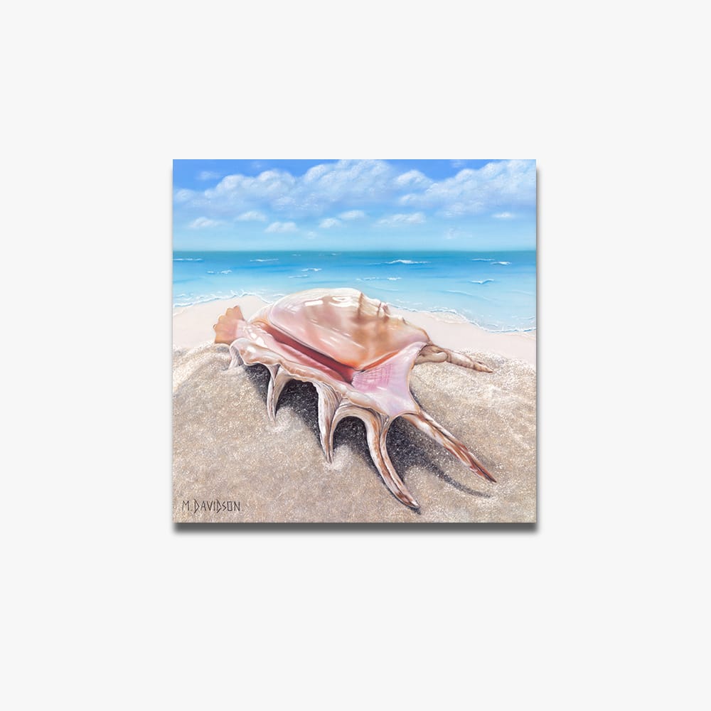 Beachcomber the Seashell - Canvas Print - Image 1