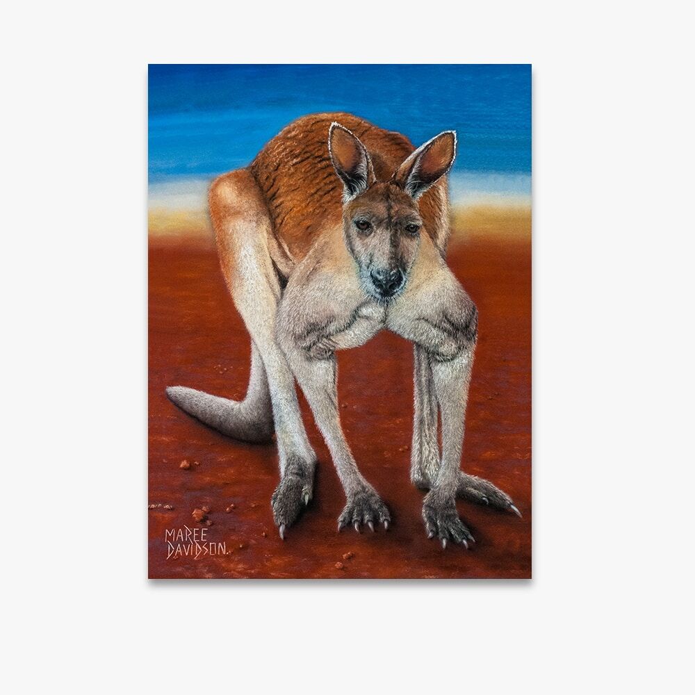 Big Red the Kangaroo - Canvas Print - Image 1