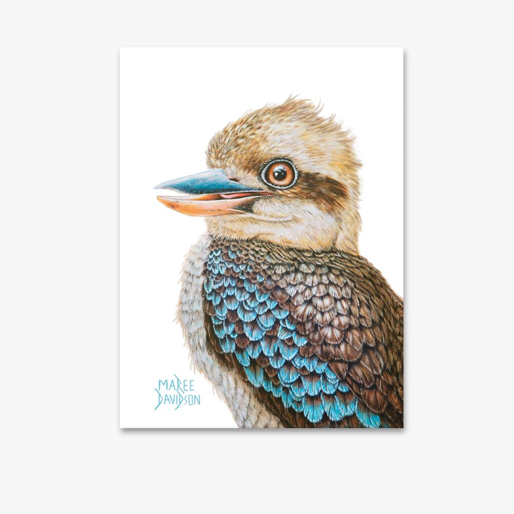 canvas-white-bg-7.jpg Australian Kookaburra - Canvas Print - Image 1