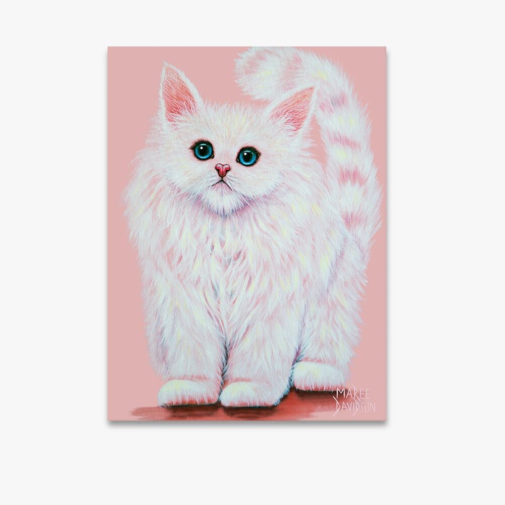 Cashmere Rose Kitten - Canvas Print - Image 1