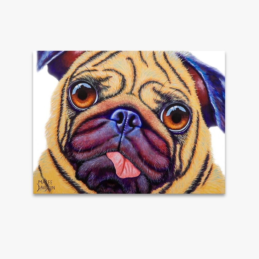 Doug the Pug Dog - Canvas Print - Image 1