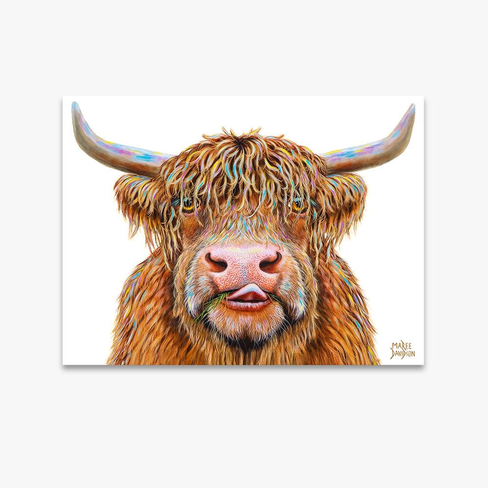 hamish-11.jpg Hamish the Highland Cow - Canvas Print - Image 1