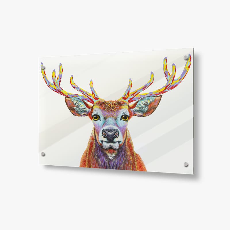 in-the-woods-2-2.jpg In the Woods Deer - Acrylic Glass Panel - Image 1