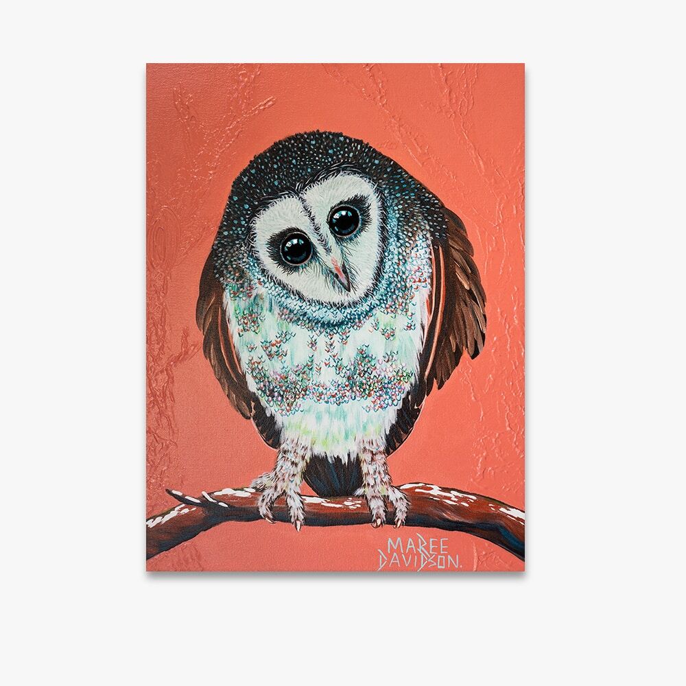 Lesser Sooty Owl - Canvas Print - Image 1