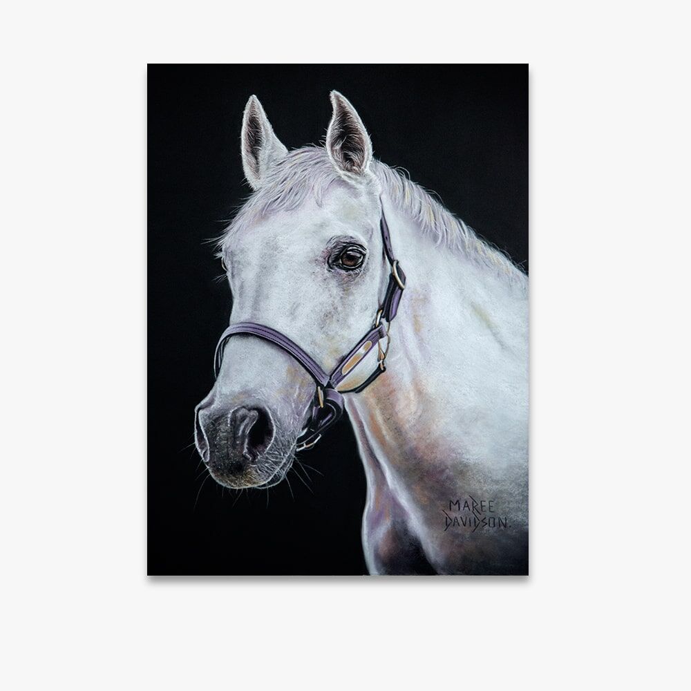 Mickey the Horse - Canvas Print - Image 1