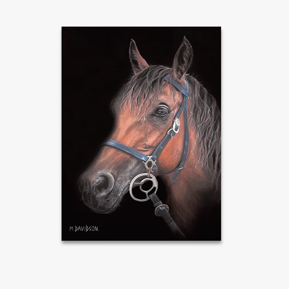 Second Chance the Horse - Canvas Print - Image 1