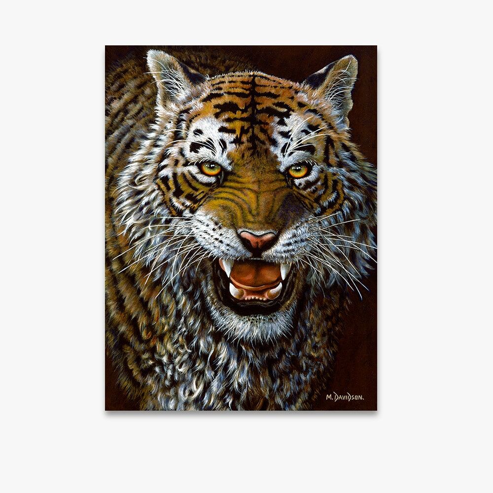 Showdown Tiger - Canvas Print - Image 1