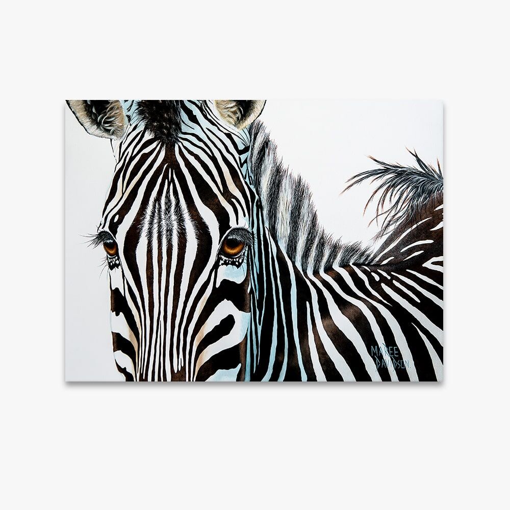 Zuri the Zebra - Canvas Print - Image 1