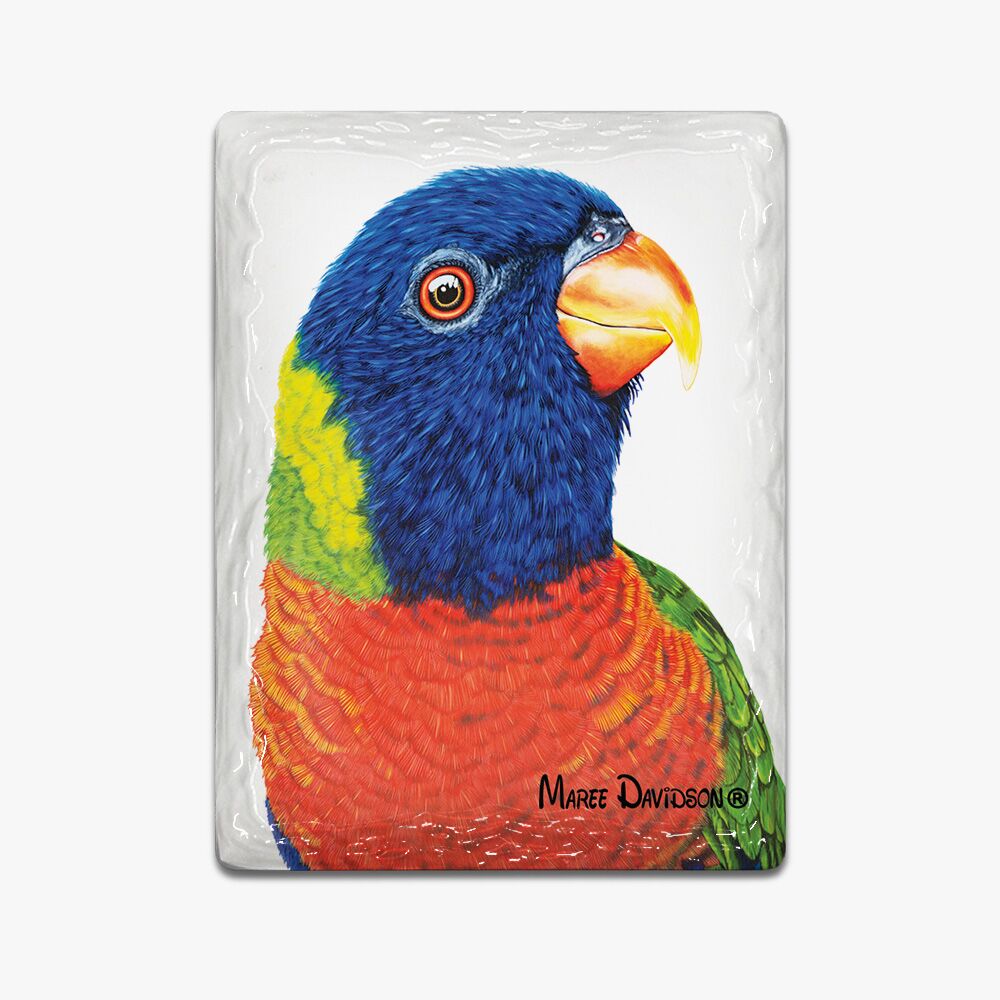 Rainbow Lorikeet - Ceramic Magnets - Image 1