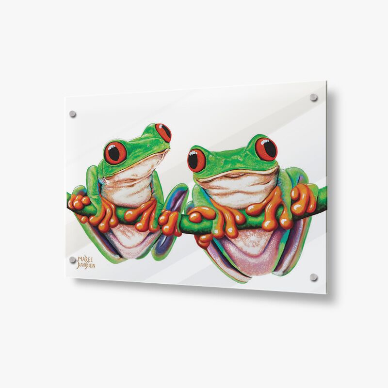 Two Frogs the Queensland Tree Frogs Acrylic Glass Freddy and Freida the Tree Frogs - Acrylic Glass Panels - Image 1