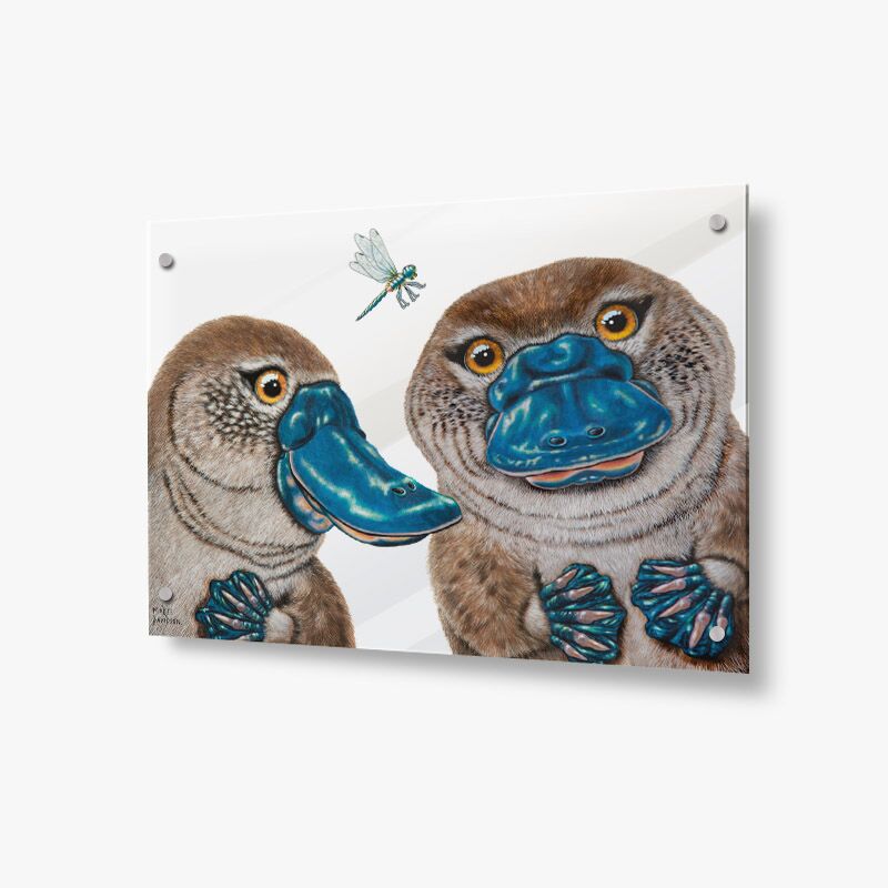 Becky and Bruce the Platypuses - Acrylic Glass Panel - Image 1