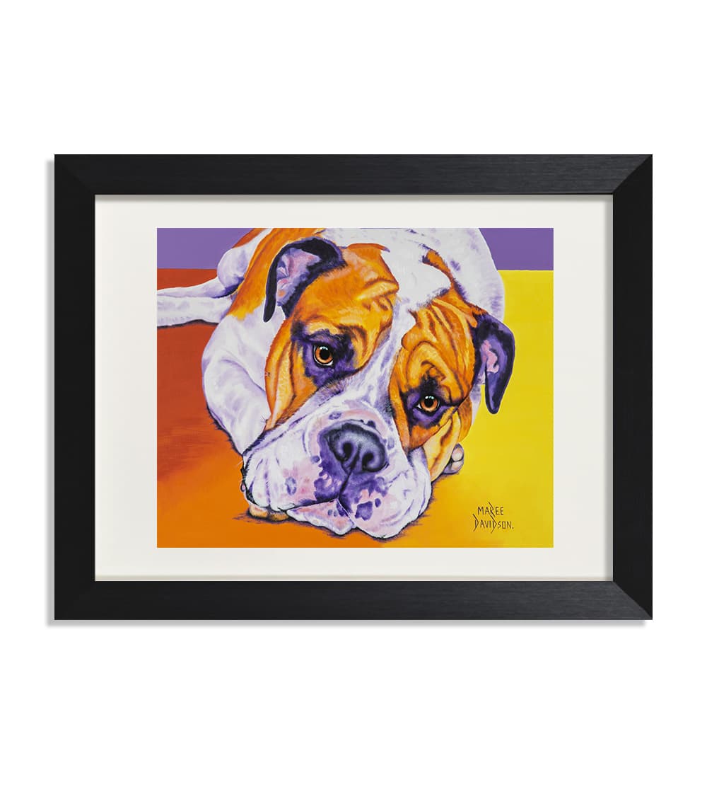 Australian Bulldog - Print - Image 1