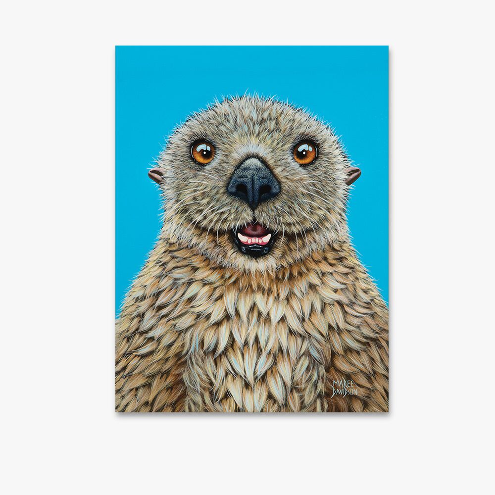 Barry1.jpg Barry the Sea Otter - Canvas Print - Image 1