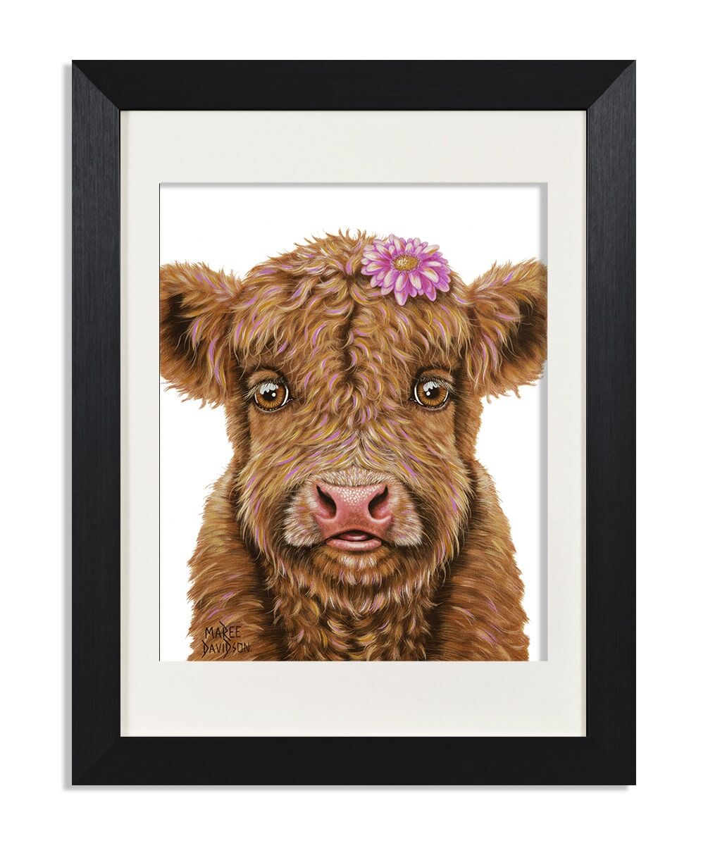 Blossom-Maree-Davidson-Art.jpg Blossom the Baby Highland Cow - Print - Image 1
