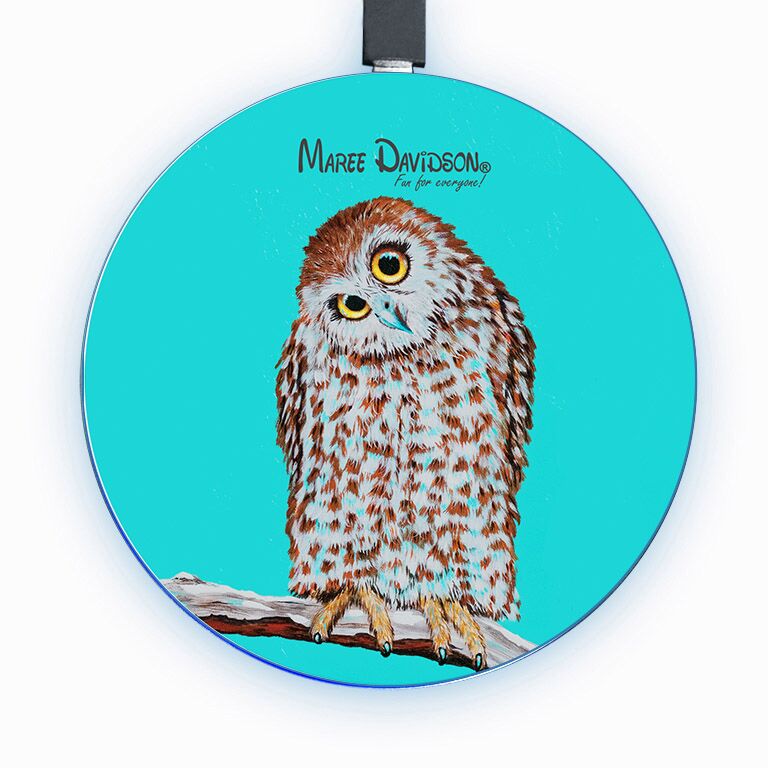 Can We Be Friends? the Owl - Wireless Phone Charges - Image 1