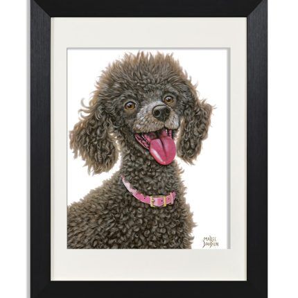 Chocolate-Poodle-Maree-