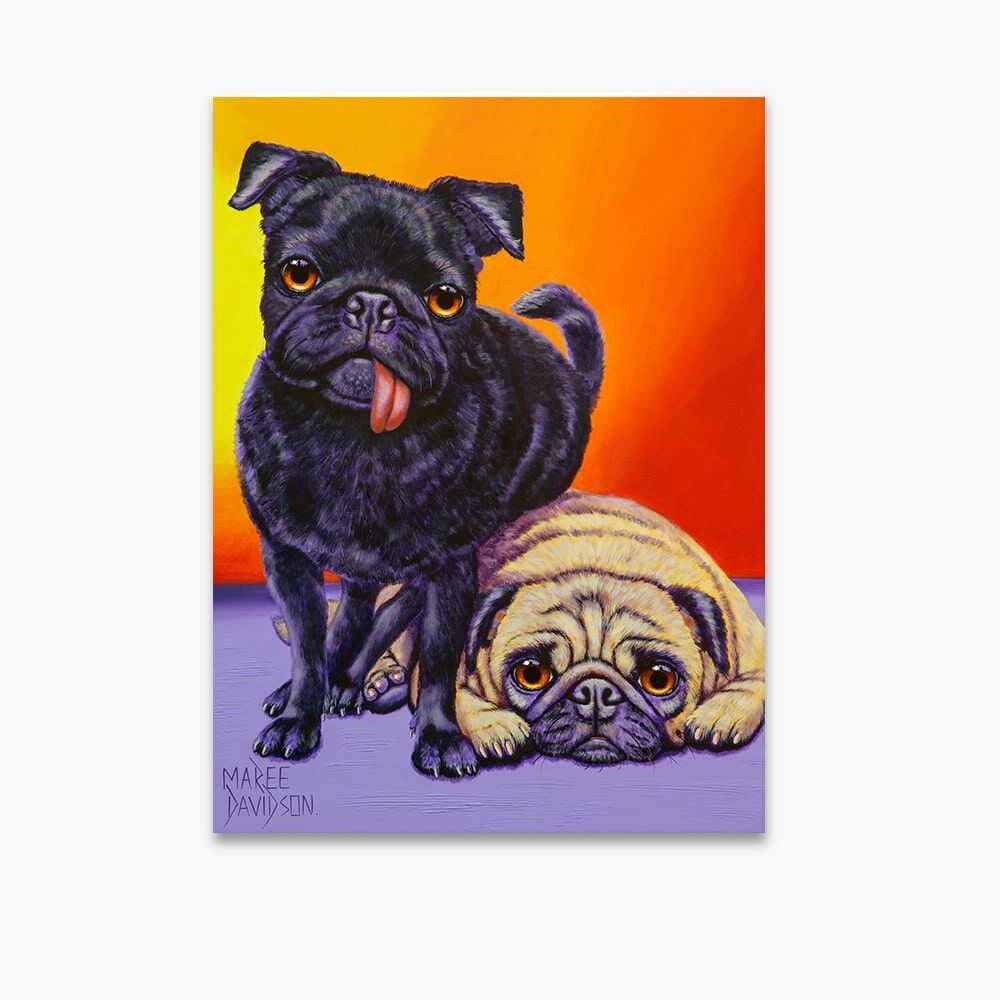 Double Trouble the Pug Dogs - Canvas Prints - Image 1