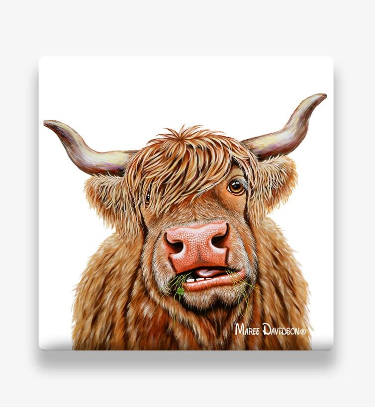Dougal the Highland Cow - Ceramic Coaster - Image 1
