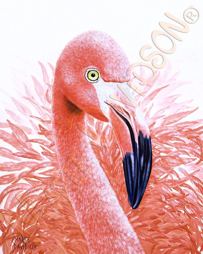 Fantasia The Flamingo Bird - Original artwork - Image 1