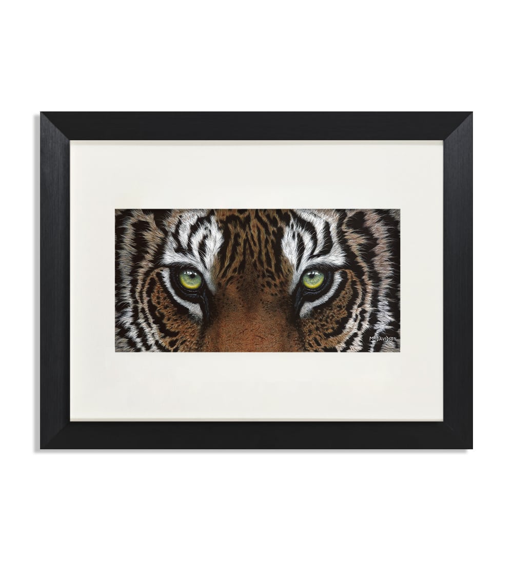 Focus the Tiger Eyes - Print - Image 1