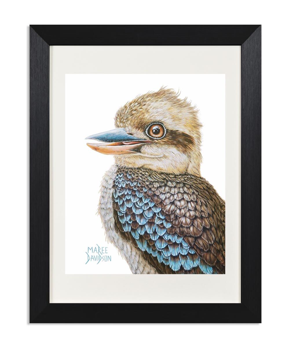 Australian Kookaburra - Print - Image 1