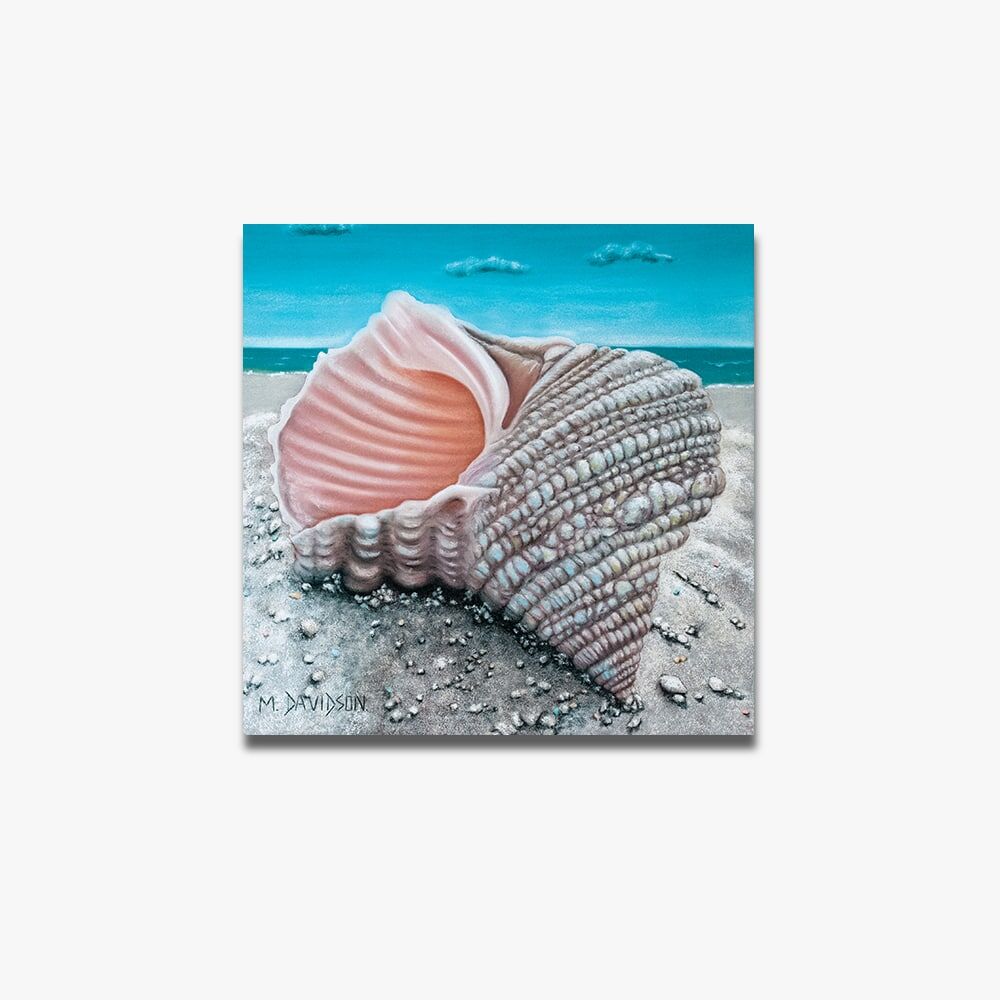 Getaway the Seashell - Canvas Print - Image 1