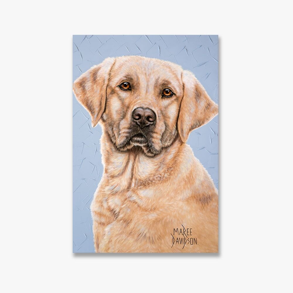 GOLDEN_LABRADOR_MASON.jpg Mason the Golden Labrador - Canvas Print - Image 1