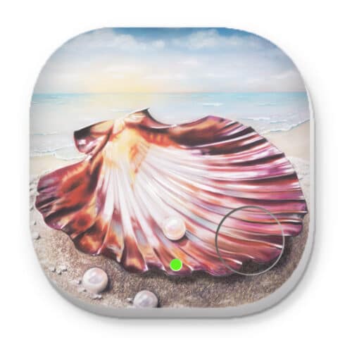 Gifts of the Sea Seashell - Phone and Key Finders - Image 1