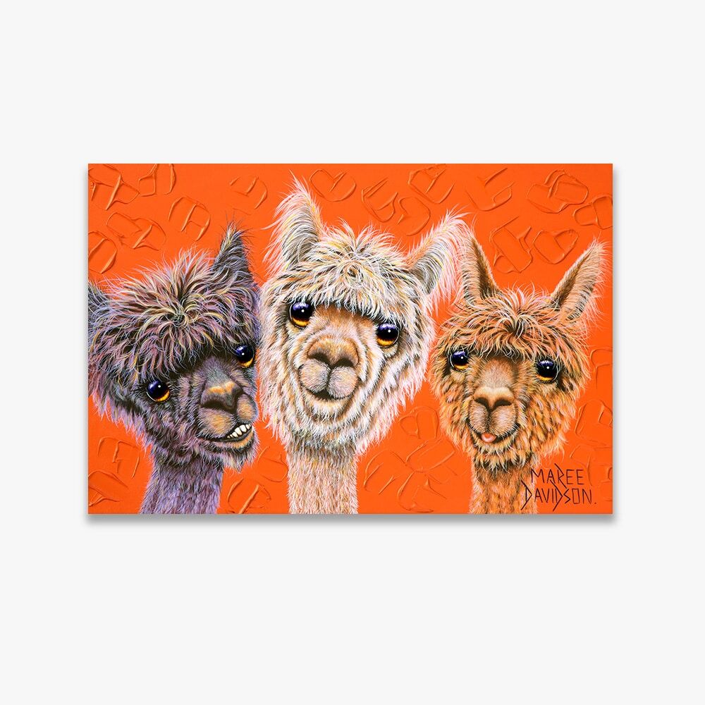 HANGING-OUT.jpg Just Hanging Out the Alpacas - Original Prints - Image 1