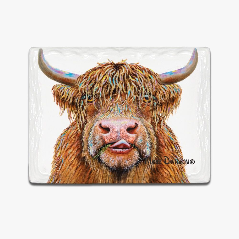 Hamish The Highland Cow - Ceramic Magnets - Image 1