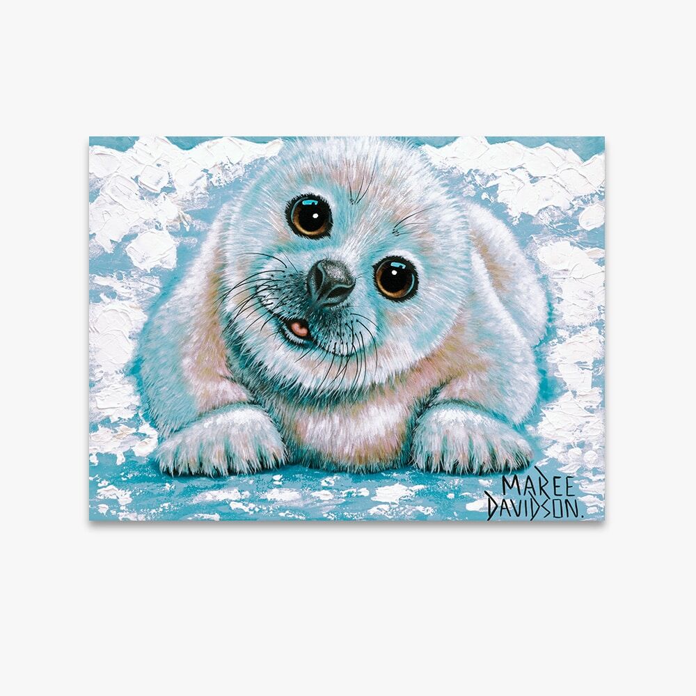 Just Chillin the Harp Seal - Canvas Print - Image 1