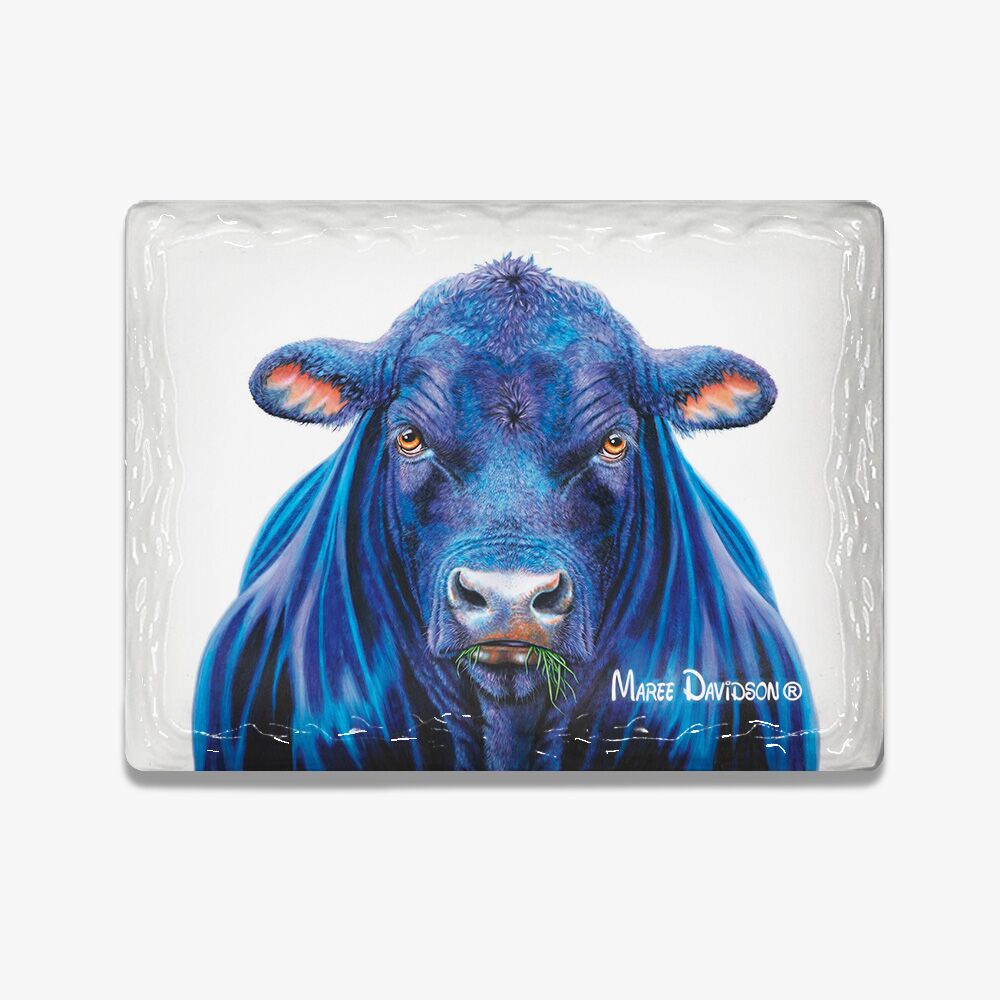 Ace the Angus Bull - Ceramic Magnets - Image 1