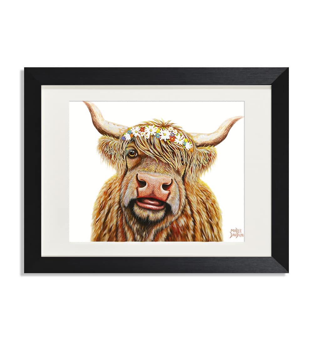 Meadow the Highland Cow - Print - Image 1