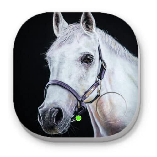 Mickey the Horse - Phone and Key Finders - Image 1