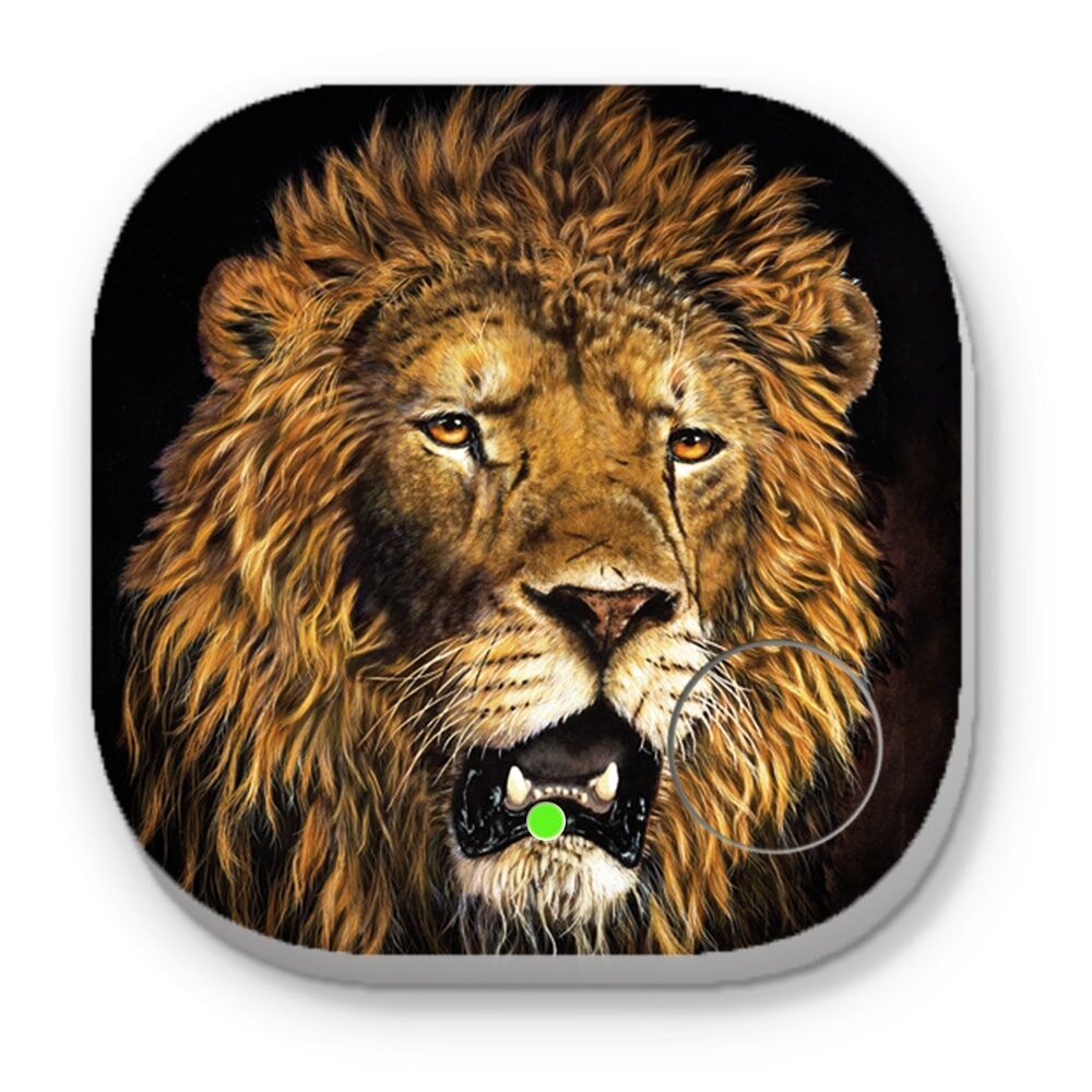 Old Hero the Lion - Phone and Key Finders - Image 1