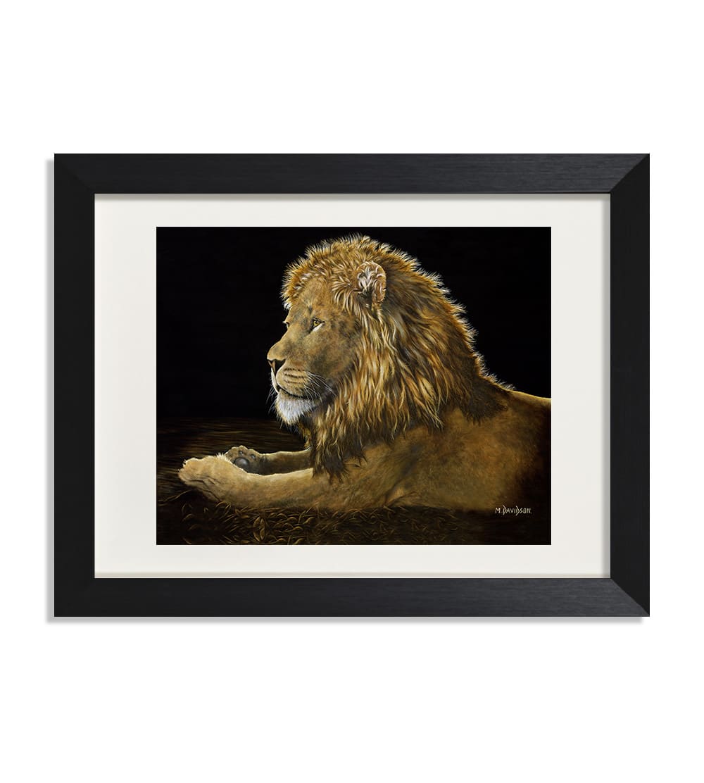 Reflections the Lion - Print - Image 1