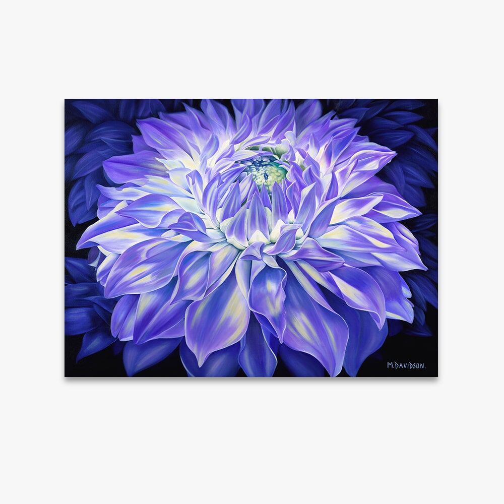 SERENITY-2.jpg Serenity the Flower - Canvas Print - Image 1