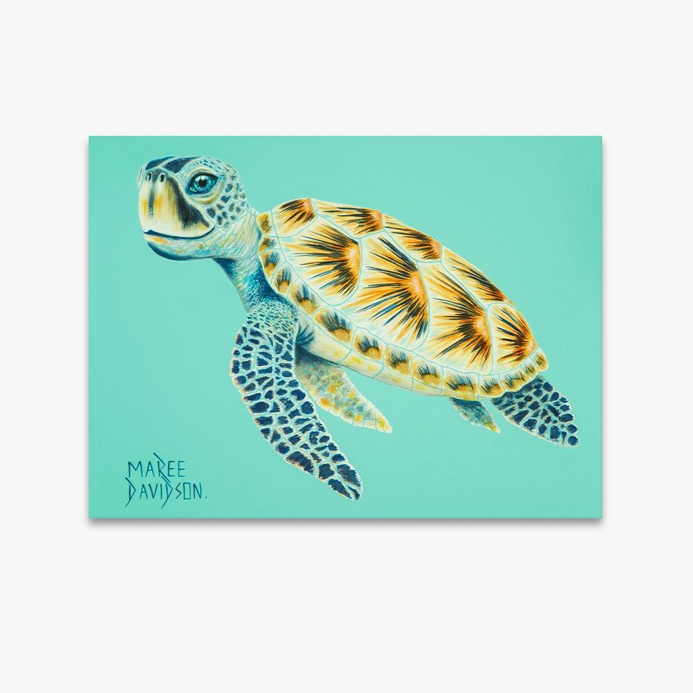 Shelby the Turtle - Canvas Print - Image 1