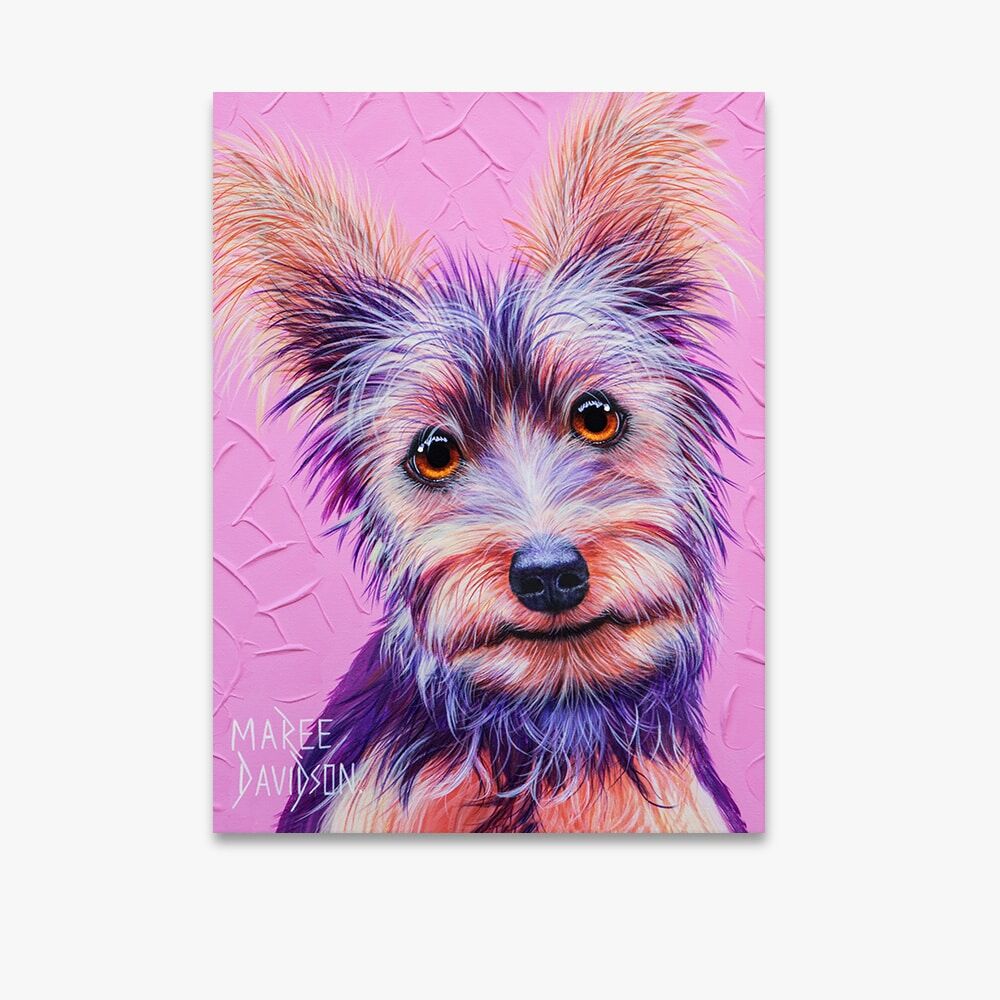 SILK_TERRA.jpg Silky Terrier Dog - Canvas Print - Image 1