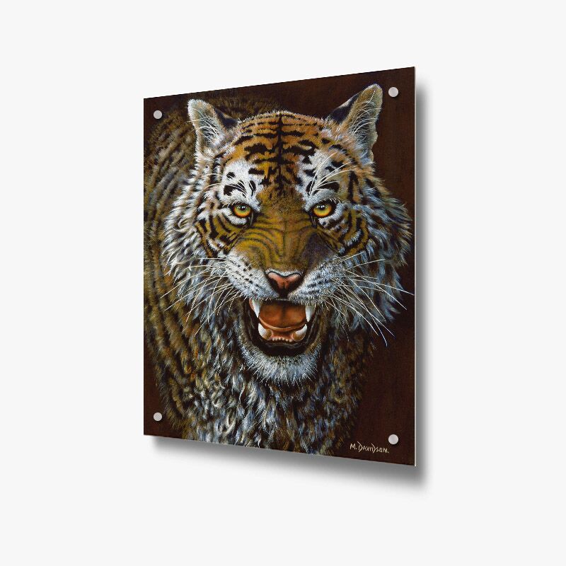 Showdown-tiger-12.jpg Showdown Tiger - Acrylic Glass Panel - Image 1