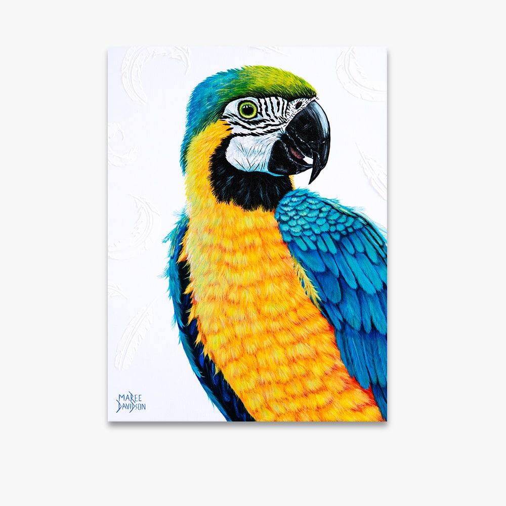 Yellow Macaw Bird - Canvas Print - Image 1