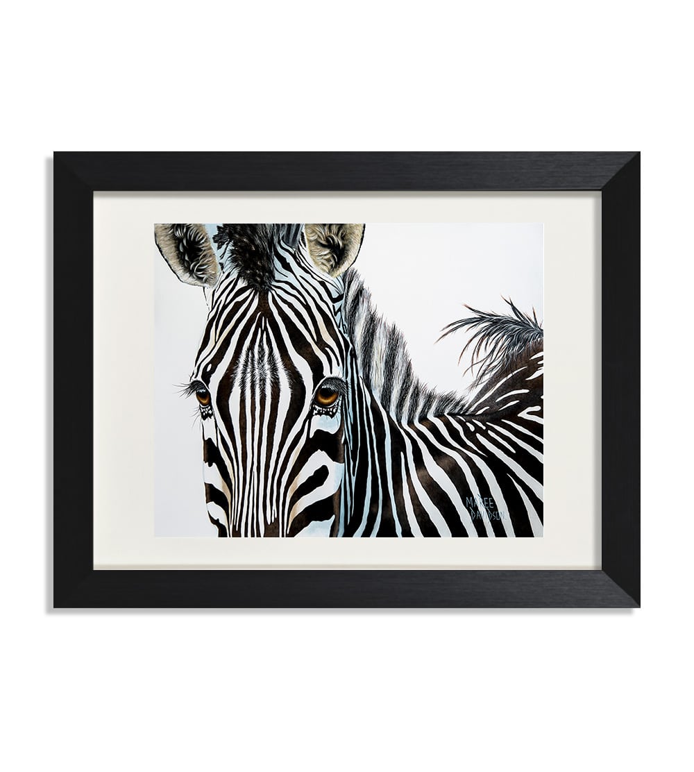 Zuri the Zebra - Print - Image 1