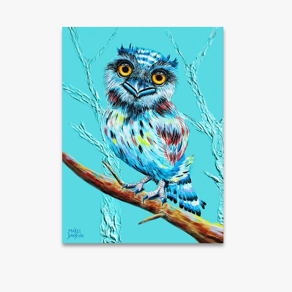Aqua Tawny Frogmouth Owl - Original Prints - Image 1