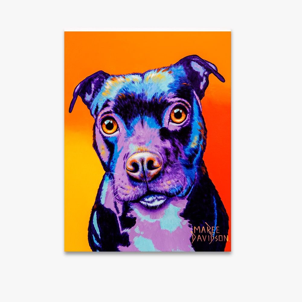 Missy the Baby Staffy Dog - Canvas Print - Image 1