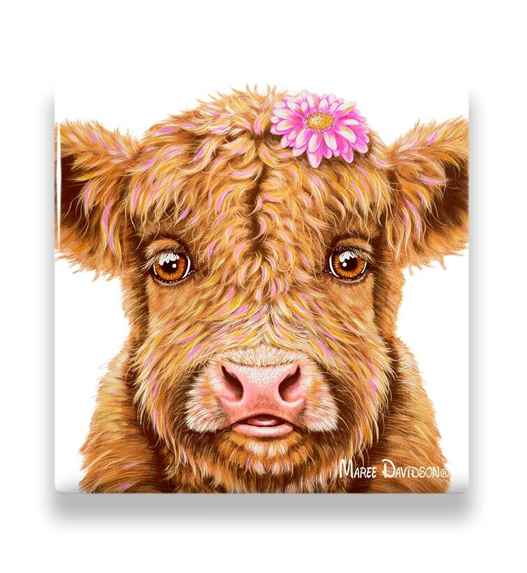 Blossom the Baby Highland Cow - Ceramic Coaster - Image 1