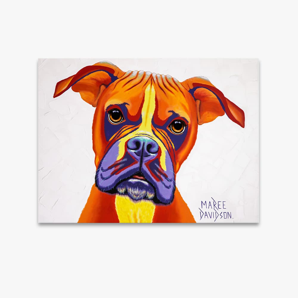 Boxer Dog - Canvas Print - Image 1