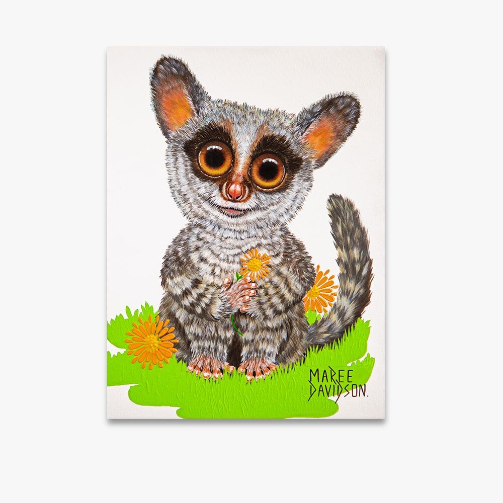 Bush Baby the Possum - Canvas Print - Image 1