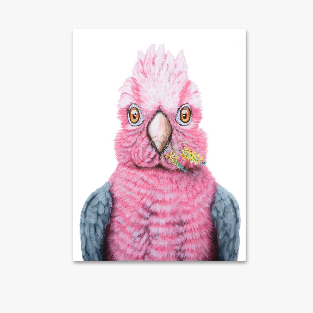 Trixie the Galah Bird - Canvas Print - Image 1