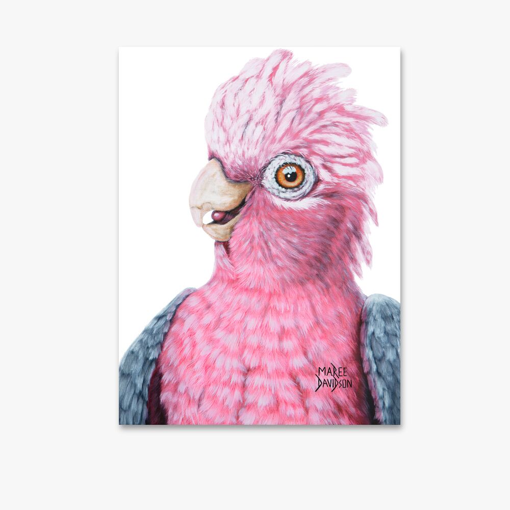 Dixie the Galah Bird - Canvas Print - Image 1